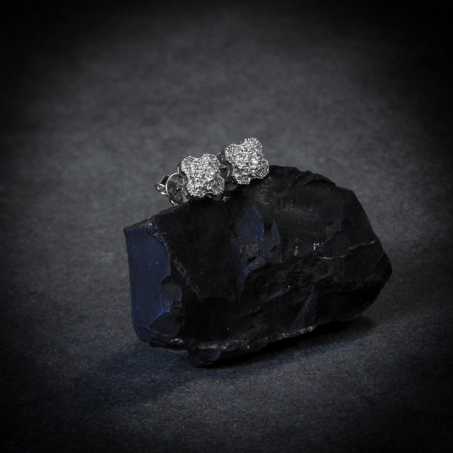 The Shine Earrings Plata