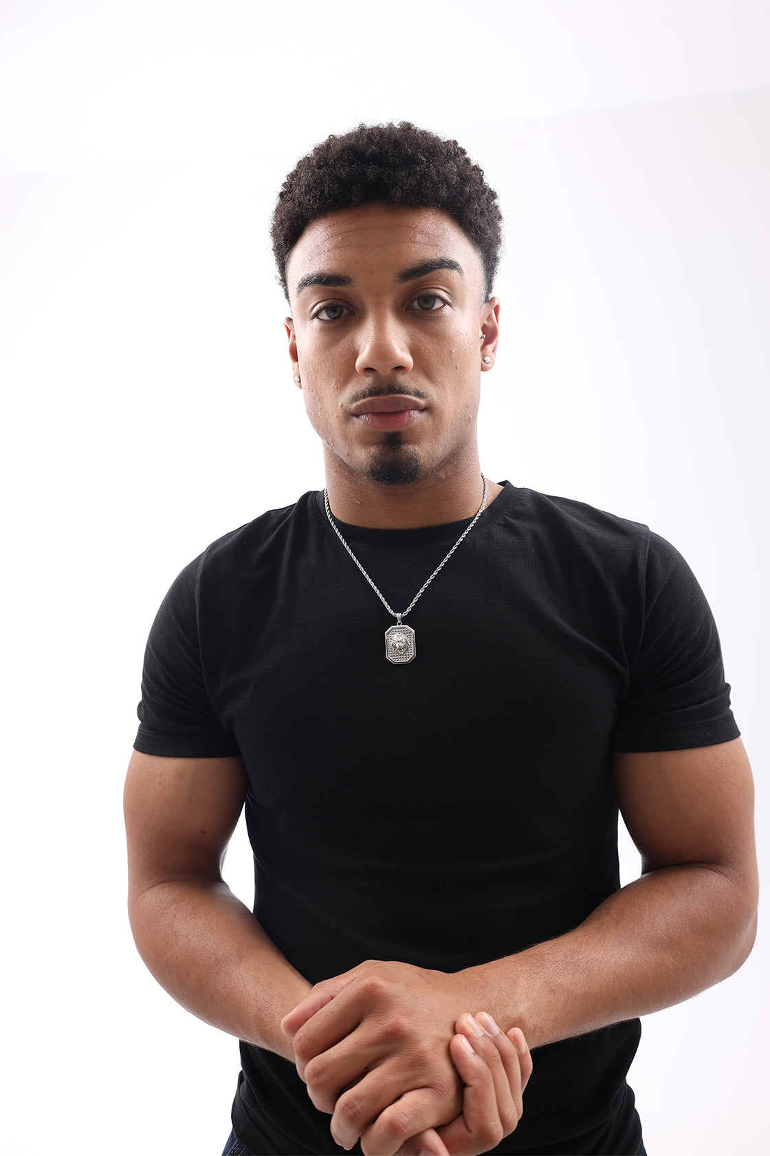 The Lion Plata Italiana