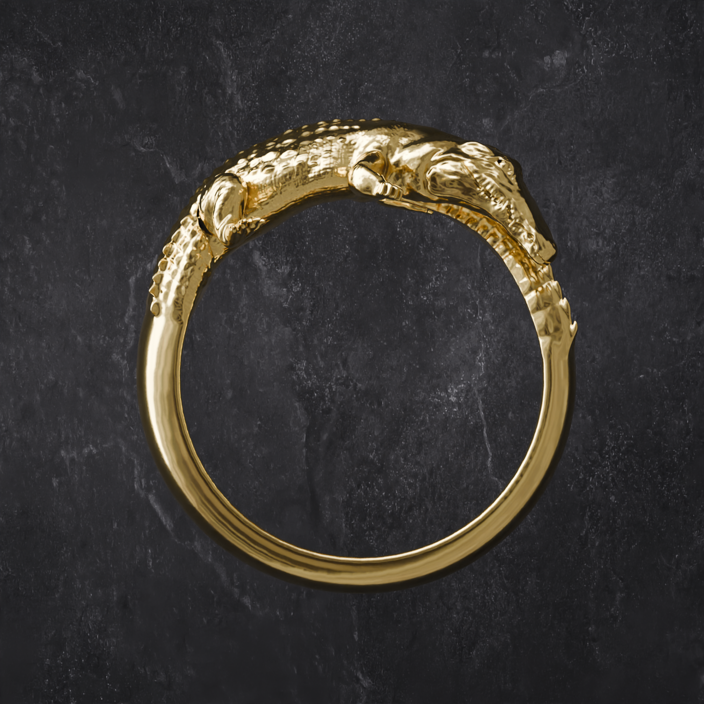 Anillo Cocodrilo