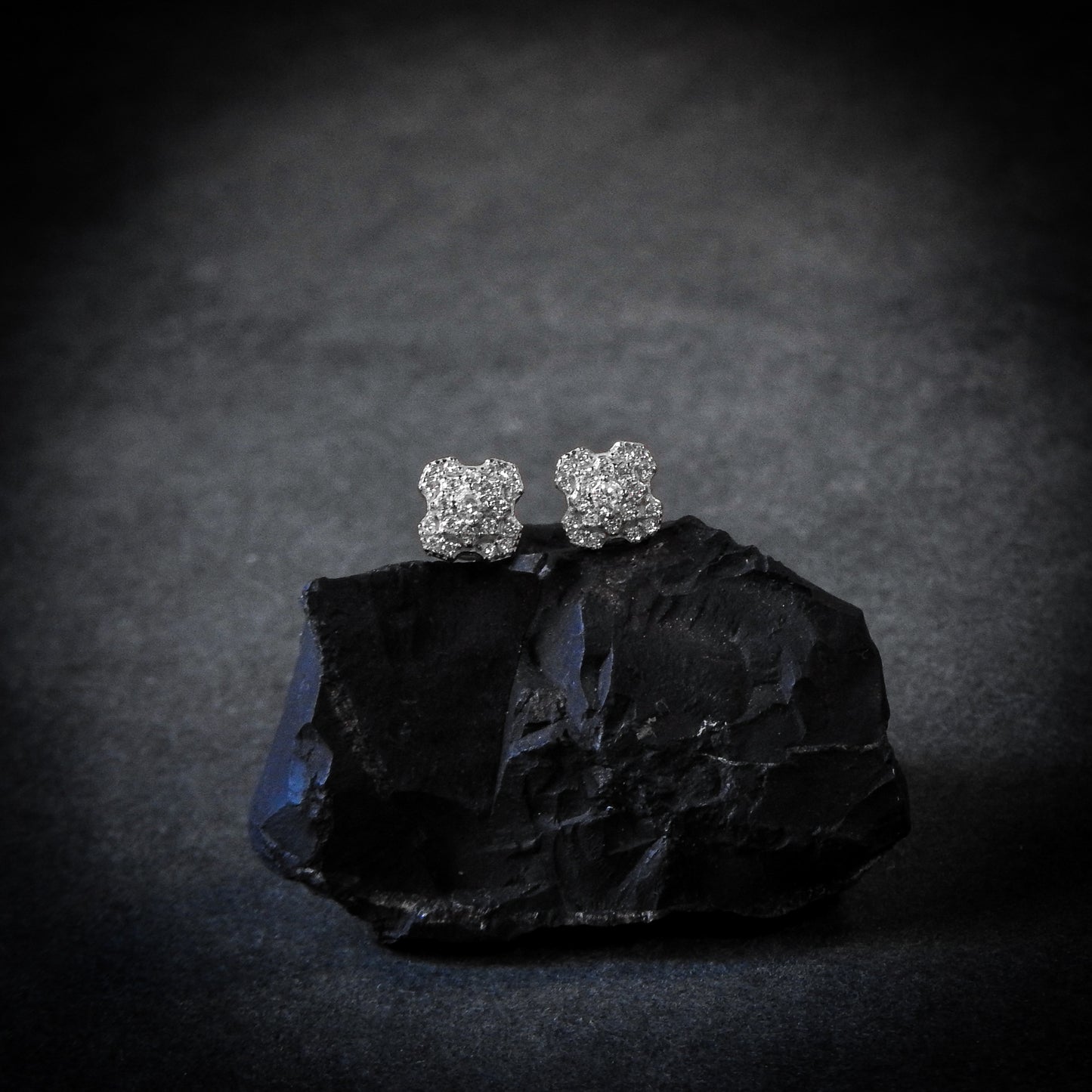 The Shine Earrings Plata