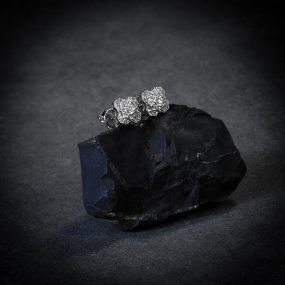 The Shine Earrings Plata