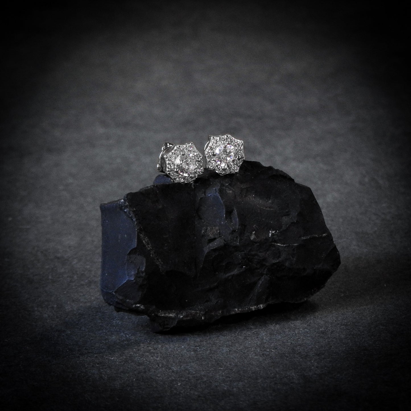 Spider Web Earrings Plata