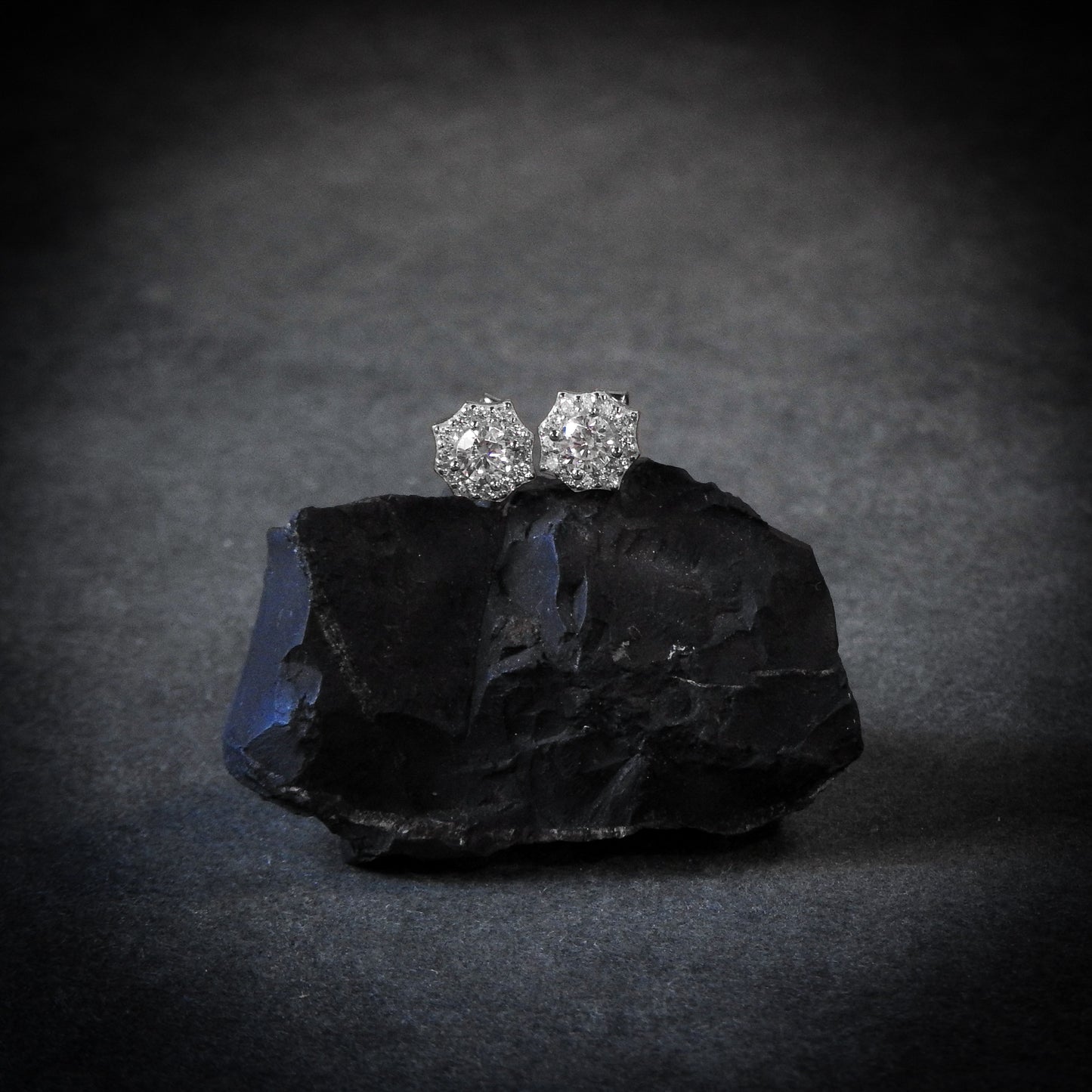 Spider Web Earrings Plata