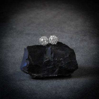 Spider Web Earrings Plata