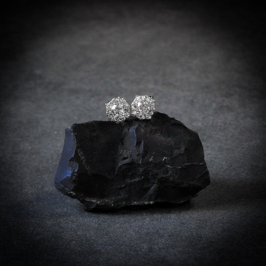 Spider Web Earrings Plata